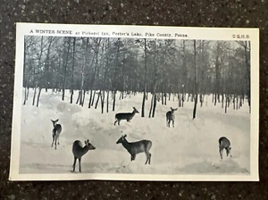 c1950’s A Winter Scene At Pickerel Inn, Porter’s Lake, PA Vintage Postcard - Bild 1 von 2