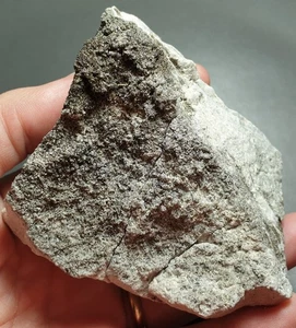 Tasmanian Trial Harbour Black Tourmaline & Limestone Mineral Specimen 248 Gram - Picture 1 of 13