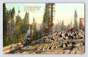 Postcard California Placerville CA Logging Train 1910s Unposted Divided Back - Picture 1 of 2