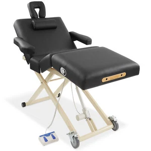 Professional Adjustable 4-Section Electric Lift Massage Table with Handrests - Picture 1 of 7