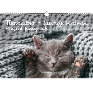 Tierzauber lustige Katzen Immerwährender Kalender DIN A3 lustige Katzen - Seele - Bild 1 von 7