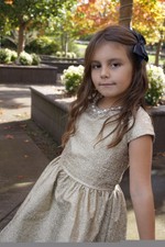 crazy 8 holiday dresses