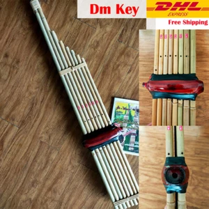 Instrumento musical tailandés de bambú Khaen órgano bucal Laos profesional llave Dm - Imagen 1 de 10