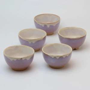 Hagi Ware Yunomi japanische Teetasse Sencha Kumidashi 5er Set Hagi Murasaki Yuri - Bild 1 von 2