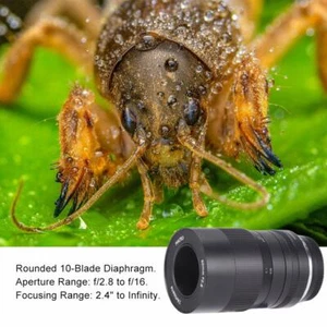 Objectif macro à mise au point manuelle 7artisans 60 mm F2,8 APS-C pour appareil photo Canon Sony Fujifilm - Photo 1 sur 12