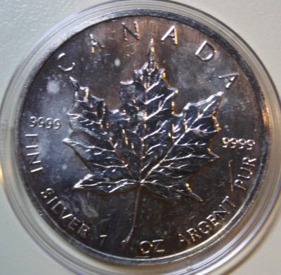 Kanada-Canada Maple Leaf 5 Dollars 1991 Silver 1 Oz F#5518 ST-BU in Kapsel - Bild 1 von 4