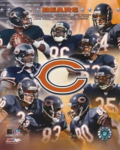 2003 CHICAGO BEARS 8X10 COLOR TEAM COLLAGE NFL LICENSE PHOTO FILE - Imagen 1 de 1