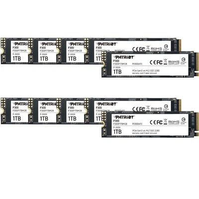 Patriot P300 1TB SSD 2280 M.2 PCIe Gen3 x4 NVMe Internal SSD PC/Laptop 10-PACK - Image 1 of 4