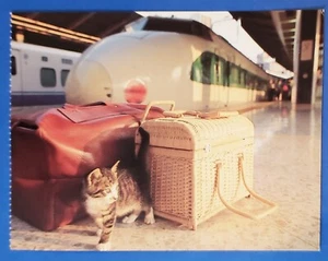 Postal Gatito Rayas Shinkansen Tren Bala Japón Atsuki Sumida 6.5"x4.75" - Imagen 1 de 2