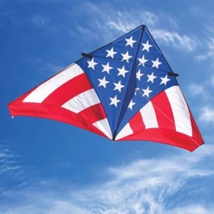 Delta Kite USA Levitation 84" x 43" + RipStop Nylon Material + Carry Bag - Picture 1 of 5