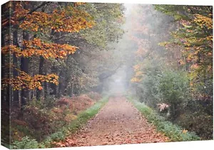 Wall26 Canvas Wall Art Autumnal Serenity Forest Trail Art Print - Picture 1 of 7