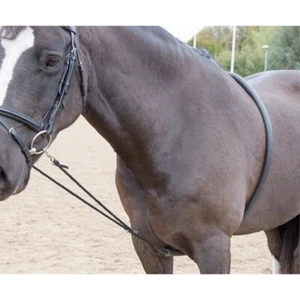 Shires Soft Lunge Aid - Picture 1 of 2