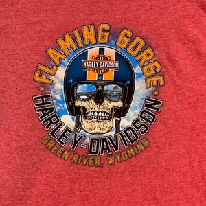 Camiseta Harley-Davidson Flaming Gorge Rock Springs, Wyoming Bikers 2XL - Imagen 1 de 14