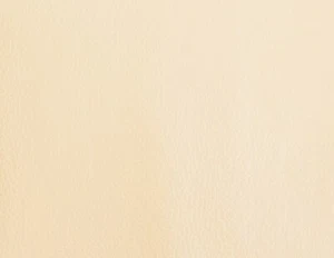 Queen Leather look Vinyl Futon Mattress Covers, Bed Covering Protector, Ivory - Picture 1 of 2