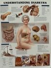 Anatomical Chart ~ Understanding Diabetes ~ Anatomy Poster 11.25 x 14