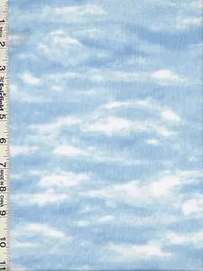 After the Snow Blue Sky by Wilmington Prints 20" - Picture 1 of 1