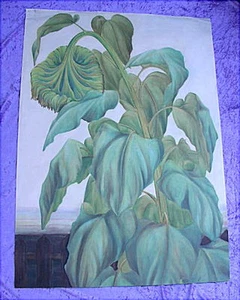 Grosses altes Aquarell 68 x 95 cm Sonnenblume Jugendstil um 1910 - Bild 1 von 6