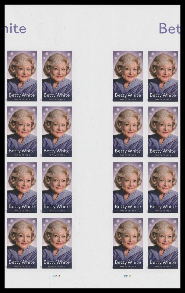 US 5976a Betty White imperf NDC vert gutter block 16 MNH 2025 - Image 1 of 1