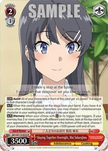 Staying Together Overnight, Mai Sakurajima - Rascal Does Not Dream Series - Imagen 1 de 1