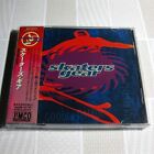 Skater's Gear Japan CD mit OBI Hardcore, Punk #X02