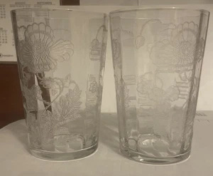 Fostoria Rogene Poppy Etched Glass 4 1/8" Tumblers Set of 2 - Picture 1 of 2