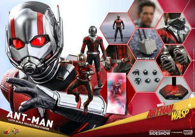 NOVO!! Boneco de ação Hot Toys MMS497 MARVEL FORMIGA-HOMEM E A VESPA SCOTT LANG 1/6 - Imagem 1 de 4