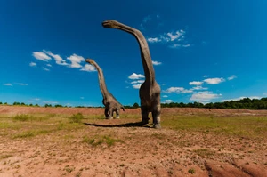 ACEO Karte Foto von zwei Brontosaurus realistisch dargestellt als wäre es echt - Bild 1 von 1