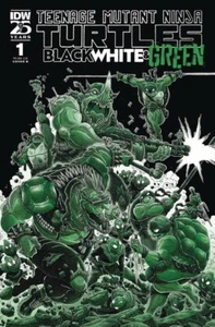 TMNT SCHWARZ WEISS & GRÜN #1 - Stokoe Abdeckung B - Neuwertig - IDW - Vorverkauf 05/08 - Bild 1 von 1