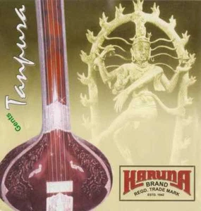 Karuna Complete Set Of Male 4 Strings Tanpura Professional Quality For Gents - Picture 1 of 3