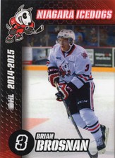 2014/15 Niagara IceDogs - BRIAN BROSNAN