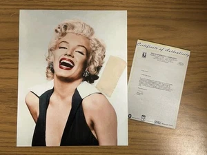 Marilyn Monroe Worn Stocking Personal Relic Norma Jeane Hollywood Display Swatch - Bild 1 von 5
