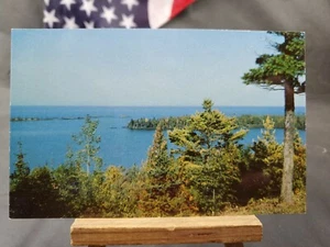 Unused 3 1/2 x 5 1/2 Postcard Northwoods View In Natural Color - Picture 1 of 2