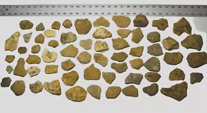 ANKYLOSAURUS ARMOR PLATES. - LOT of 65 - Picture 1 of 6