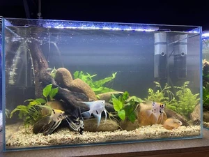 aquarium - Picture 1 of 6