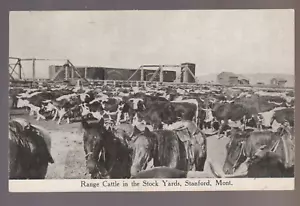 Stanford MONTANA 1917 LAGERHÖFE Kühe RANGE RINDER Eisenbahn ZUG Ranch MT - Bild 1 von 2