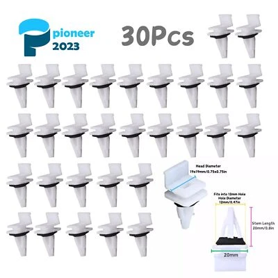 30x clips de moldura de panel basculante y sellador de plástico para Honda CR-V 2007-2012 2,4 L Foto 1 de 4