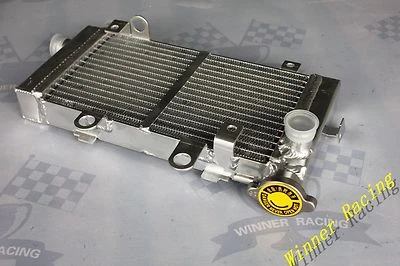 Tapa radiador lateral derecho para Honda Super Hawk VTR1000F V-Twin 1997-2005 Foto 1 de 3