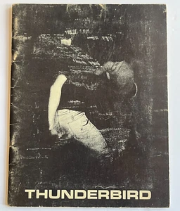 Thunderbird University of New Mexico 1966 Student Publication Art Poetry Drama - Picture 1 of 13