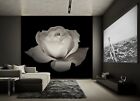 3d Elegant Rose A308 Wallpaper Wall Mural Self-adhesive Assaf Frank Amy 2023
