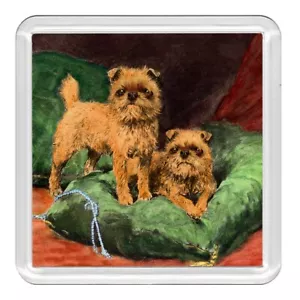 Brussels Griffon Dogs Dog Acrylic Coaster Novelty Drink Cup Mat Great Gift - Picture 1 of 1