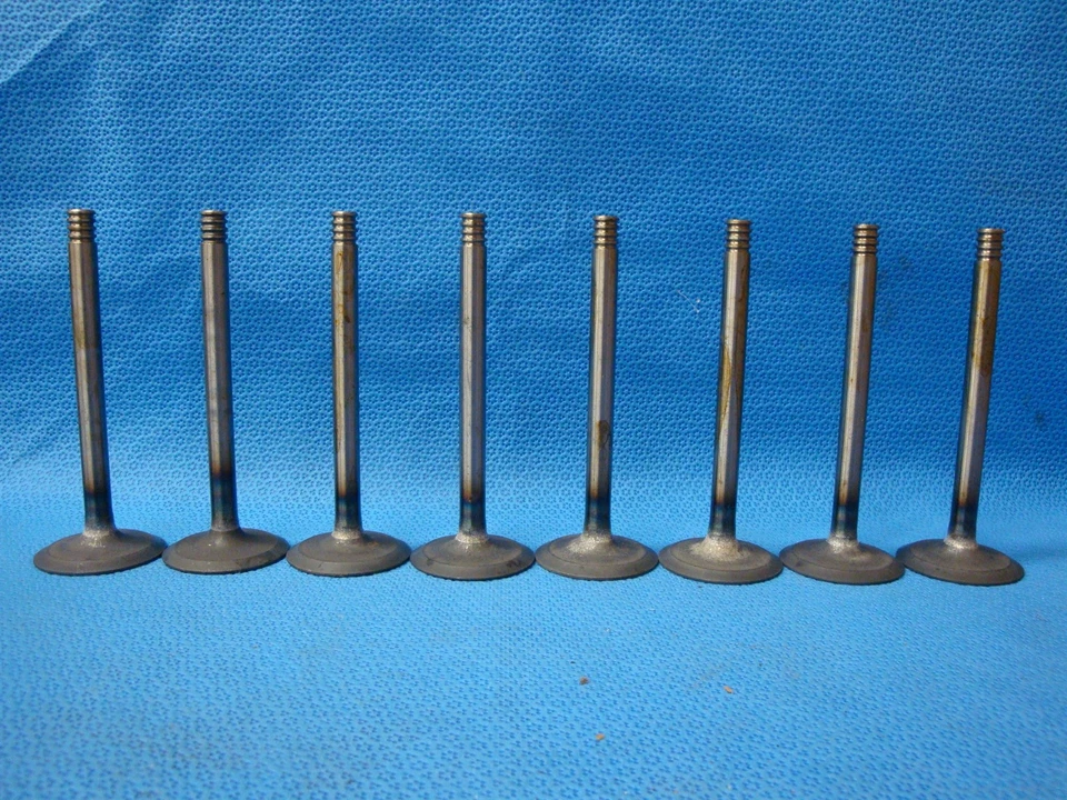 Juego de válvulas de admisión AMC Jeep Rambler 250 287 327 1959-1966 válvula OEM EE. UU. Foto 1 de 3