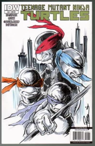 Cubierta de boceto IDW TORTUGAS NINJA MUTANTES ADOLESCENTES con arte original TMNT de Damon Bowie - Imagen 1 de 1