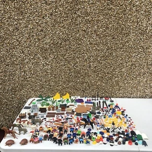 Enorme Paquete Playmobil - Incluye Figuras, Accesorios, Animales y Más - Imagen 1 de 11
