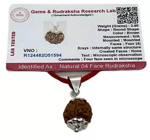 Embrace Stability & Grounding: Handmade Certified 4 Mukhi Rudraksha Pendant - Picture 1 of 6