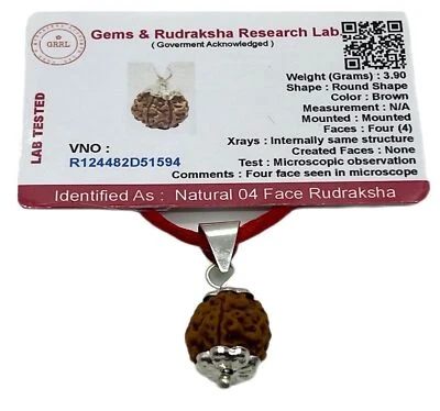 Embrace Stability & Grounding: Handmade Certified 4 Mukhi Rudraksha Pendant - Image 1 of 4