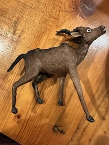 Victorian ANTIQUE TAXIDERMY BLACKBUCK ANTELOPE KUDU TWISTED HORN - Picture 1 of 11