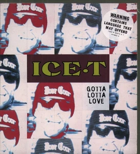 Ice-T Gotta Lotta Love CD Europa Rhyme $yndicate 1994 Single In Digipak SYNDG3 - Bild 1 von 3
