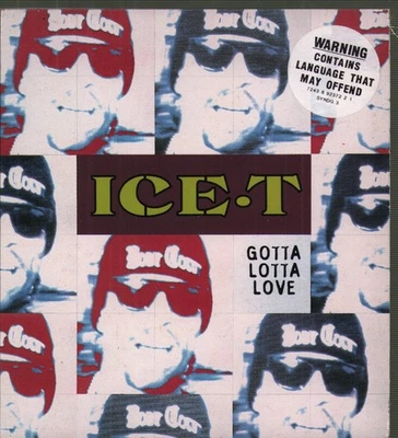 Ice-T Gotta Lotta Love CD Europa Rhyme $yndicate 1994 Single In Digipak SYNDG3 - Bild 1 von 3