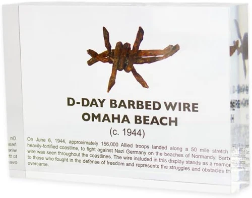 Engineered Labs World War II Barbed Wire Artifact Display – Authentic Brown