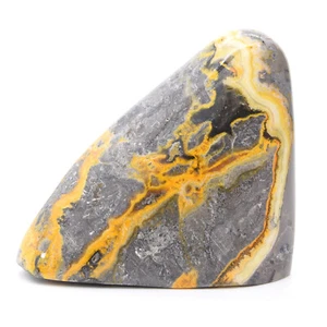 Bumblebee Jasper Freeform - Imagen 1 de 5